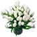 Белые тюльпаны. Тюльпаны - нежные, утонченные цветы для любителей весны и романтики. Сезон тюльпанов длится, как правило, с февраля по апрель. В остальное время их наличие ограничено, поэтому заказ лучше оформлять заранее.. Барселона